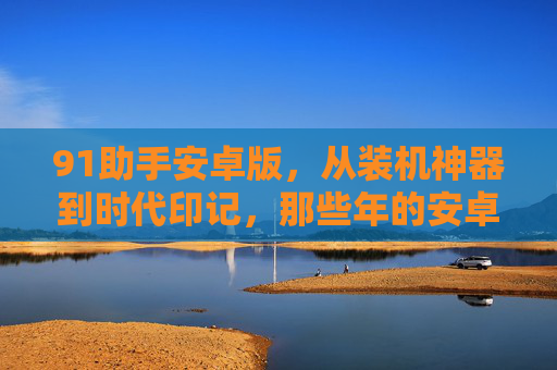 91助手安卓版,从装机神器到时代印记,那些年的安卓记忆,91助手安卓版,从装机神器到安卓时代印记
