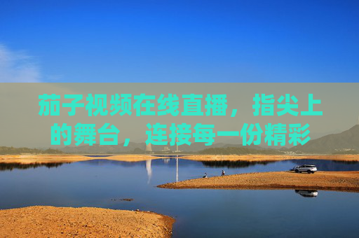 茄子视频在线直播,指尖上的舞台,连接每一份精彩
