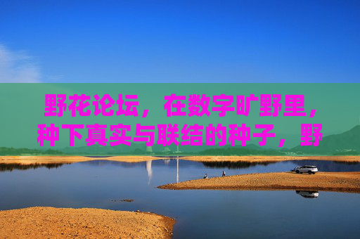 野花论坛,在数字旷野里,种下真实与联结的种子,野花论坛,在数字旷野种下真实与联结