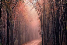 英雄联盟热门人物介绍与精美配图呈现