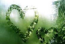 CSGO与荣耀横竖屏切换设置，优化游戏体验的关键