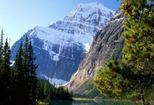 王者荣耀狗头出战相关集数引关注，掀起峡谷风云