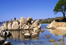 英雄联盟热门人物介绍与精美配图呈现