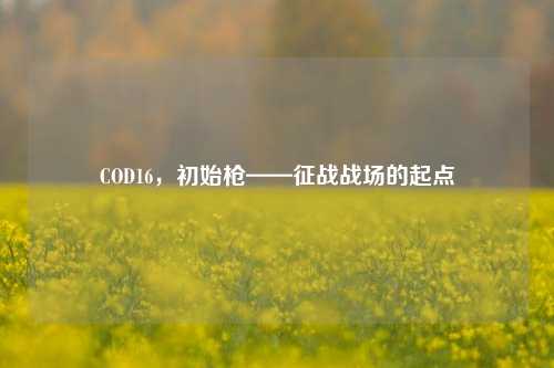 COD16,初始枪——征战战场的起点