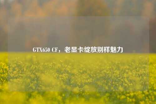 GTX650 CF,老显卡绽放别样魅力