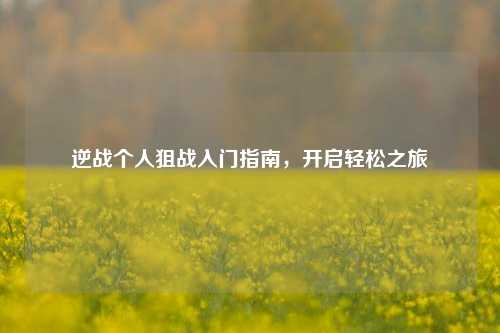 逆战个人狙战入门指南,开启轻松之旅