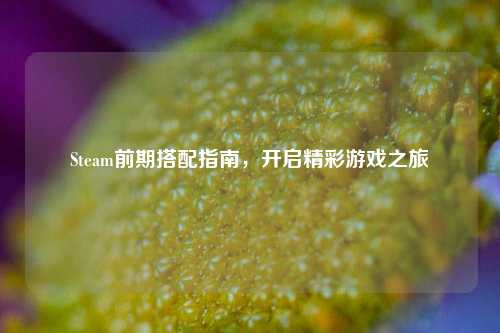 Steam前期搭配指南，开启精彩游戏之旅
