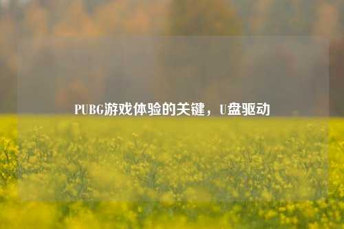 PUBG游戏体验的关键,U盘驱动