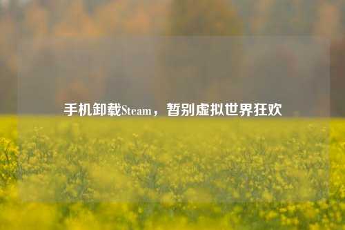 手机卸载Steam,暂别虚拟世界狂欢