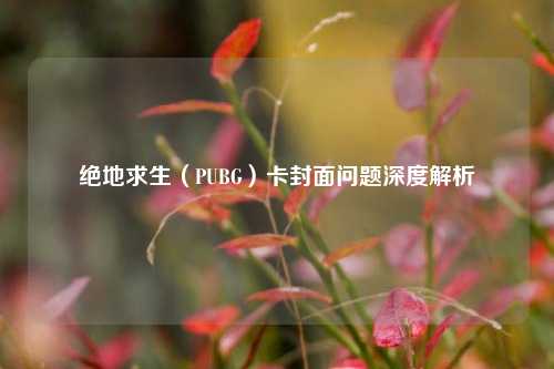 绝地求生（PUBG）卡封面问题深度解析