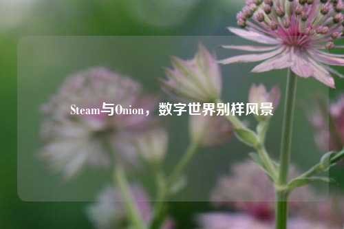 Steam与Onion,数字世界别样风景