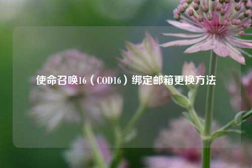 使命召唤16（COD16）绑定邮箱更换     