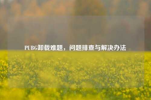 PUBG卸载难题,问题排查与解决办法