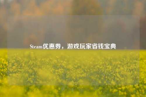 Steam优惠券，游戏玩家省钱宝典