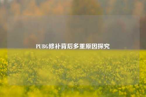 PUBG修补背后多重原因探究