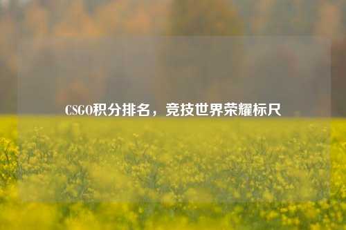 CSGO积分排名,竞技世界荣耀标尺