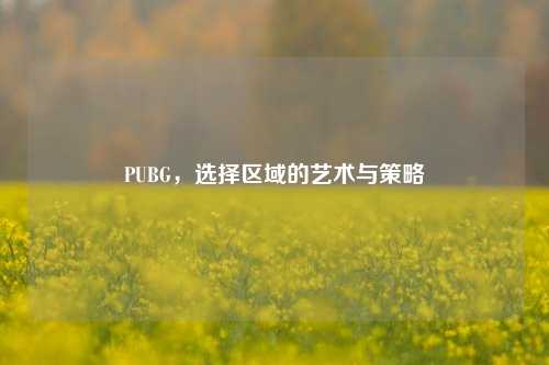 PUBG,选择区域的艺术与策略