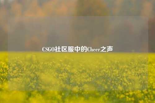 CSGO社区服中的Cheer之声