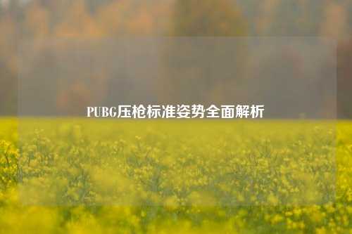 PUBG压枪标准姿势全面解析