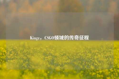 Kingz，CSGO领域的传奇征程