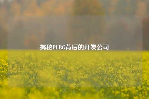 揭秘PUBG背后的开发公司