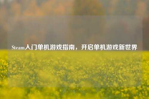 Steam入门单机游戏指南,开启单机游戏新世界