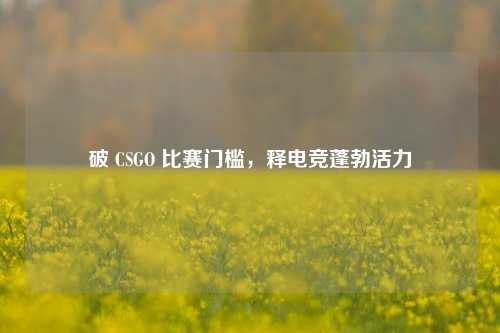破 CSGO 比赛门槛,释电竞蓬勃活力