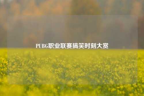 PUBG职业联赛搞笑时刻大赏