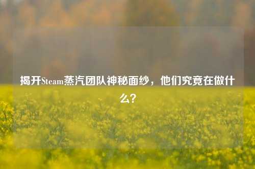 揭开Steam蒸汽团队神秘面纱，他们究竟在做什么？