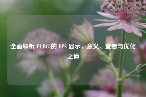 全面解析 PUBG 的 FPS 显示,意义、查看与优化之道