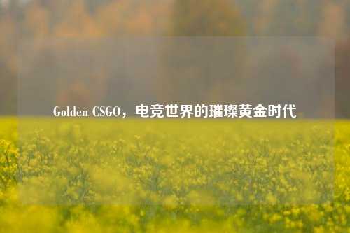 Golden CSGO,电竞世界的璀璨黄金时代