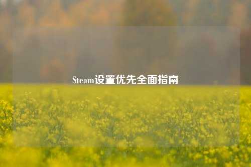 Steam设置优先全面指南