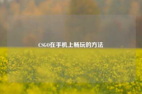 CSGO在手机上畅玩的