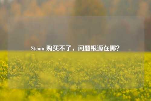 Steam 购买不了,问题根源在哪?