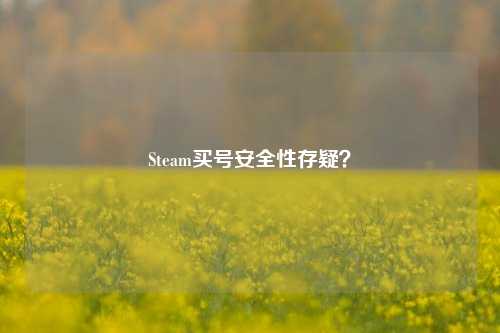 Steam买号安全性存疑?