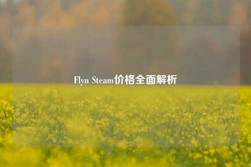Flyn Steam价格全面解析