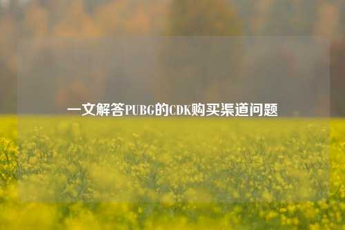 一文解答PUBG的CDK购买渠道问题