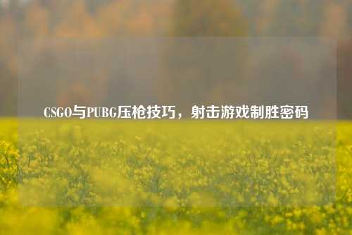 CSGO与PUBG压枪技巧，射击游戏制胜密码