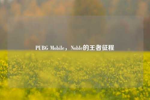 PUBG Mobile,Noble的王者征程