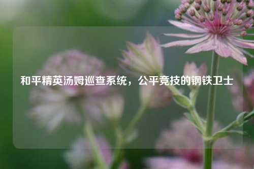 和平精英汤姆巡查系统,公平竞技的钢铁卫士