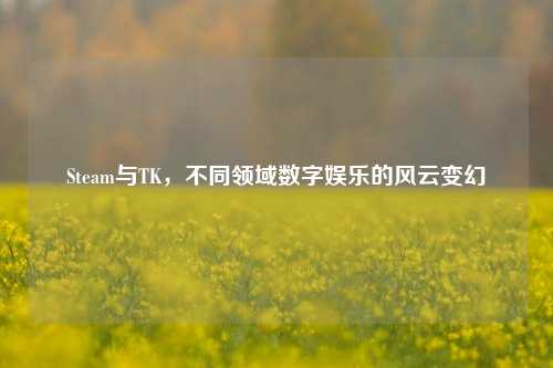 Steam与TK,不同领域数字娱乐的风云变幻