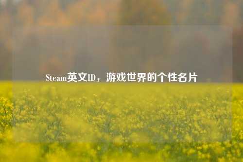 Steam英文ID,游戏世界的个性名片
