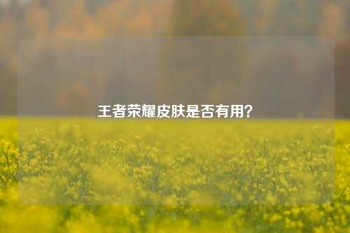 王者荣耀皮肤是否有用?