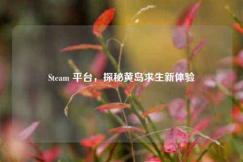 Steam 平台，探秘黄岛求生新体验