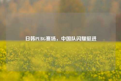 日韩PUBG赛场,中国队闪耀挺进
