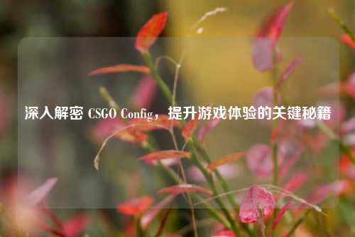 深入解密 CSGO Config,提升游戏体验的关键秘籍