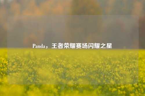 Panda，王者荣耀赛场闪耀之星