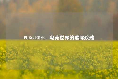 PUBG ROSE,电竞世界的璀璨玫瑰