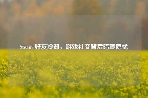Steam 好友冷却，游戏社交背后暗藏隐忧