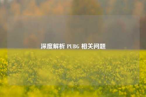 深度解析 PUBG 相关问题